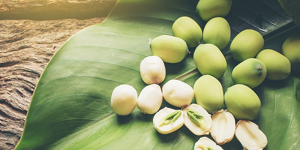 hat-sen-loi-ich-co-xuong-kho-vung-tau